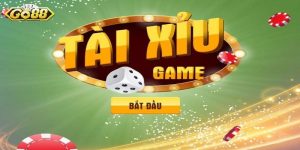 Cách Chơi Tài Xỉu - Cập Nhật Các Loại Cược Cơ Bản